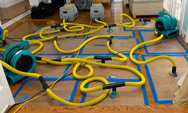 Professional Flood Damage Restoration technician working in Roseland, LA